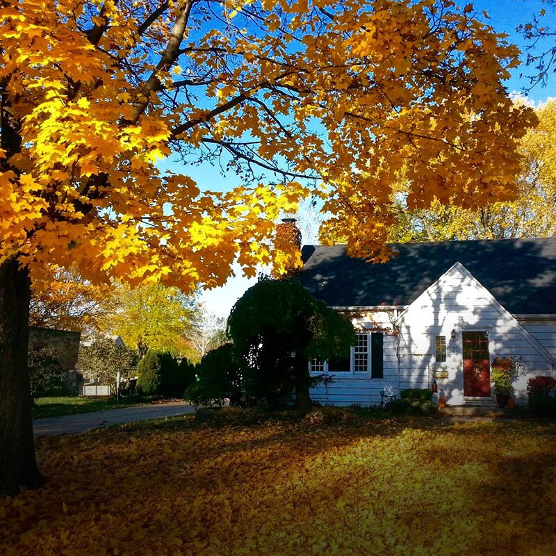 Furnished home with maintenance support
